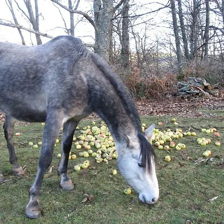 La Chataigneraie Ida Occitania Dom wakacyjny *