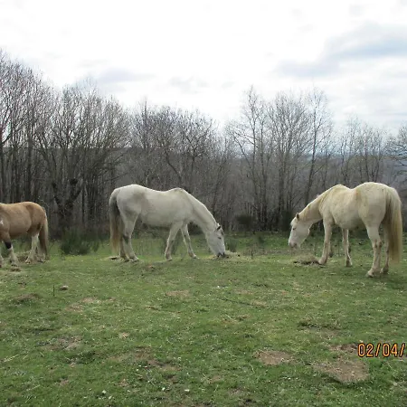 La Chataigneraie Ida Occitania Holiday home