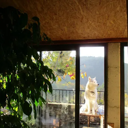 La Chataigneraie Ida Occitania Holiday home
