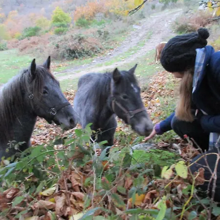 La Chataigneraie Ida Occitania