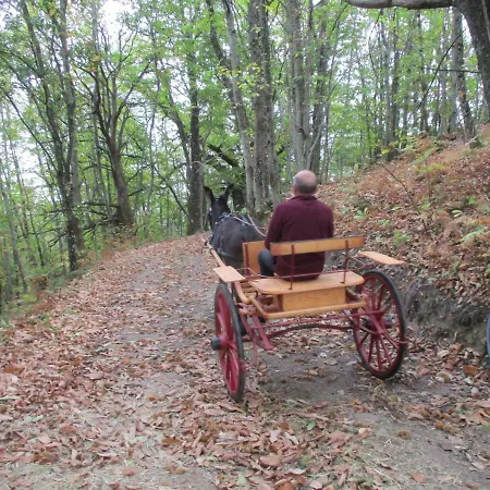 La Chataigneraie Ida Occitania Holiday home